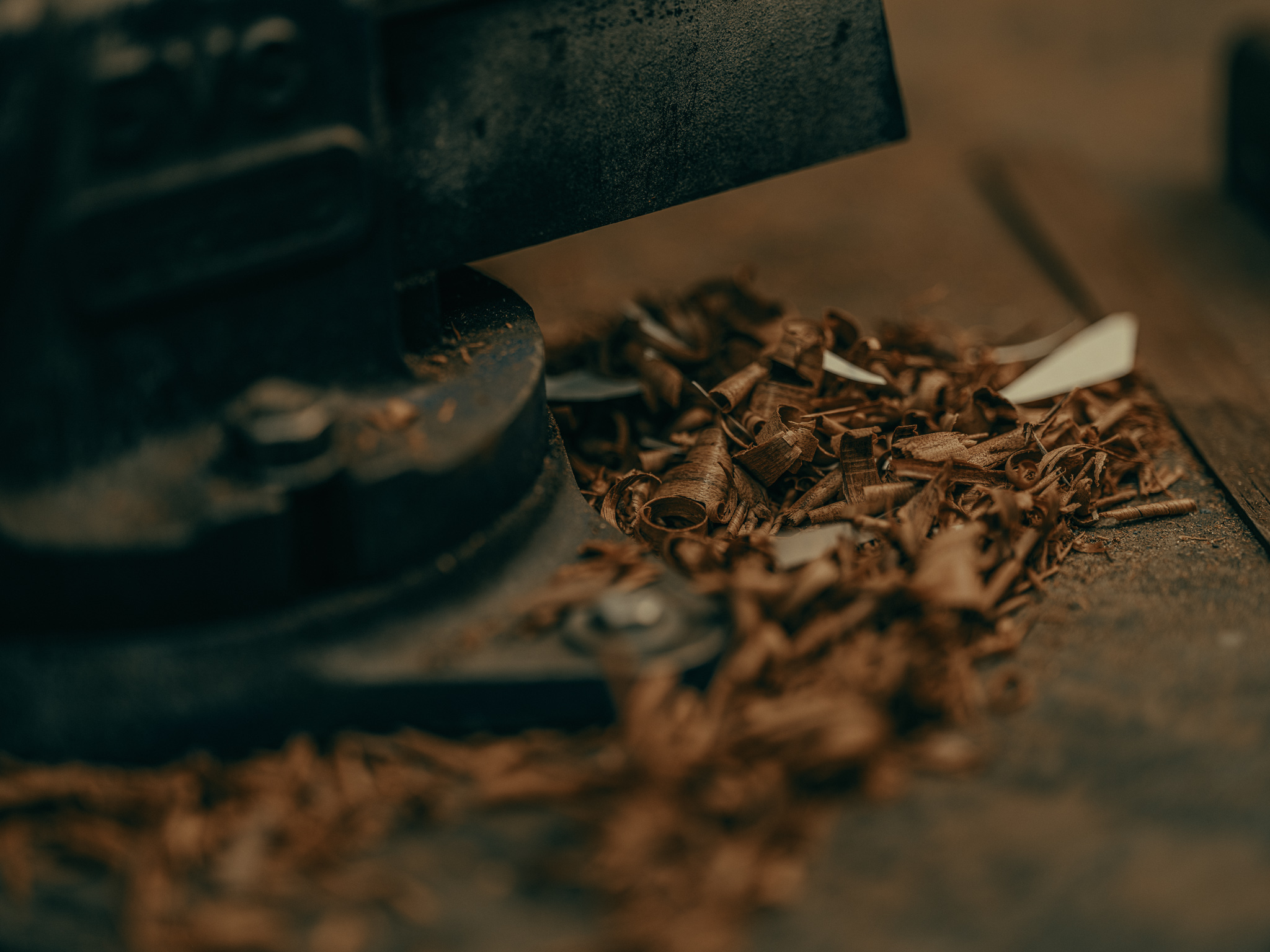 20211018-FFPG5442 1.jpg