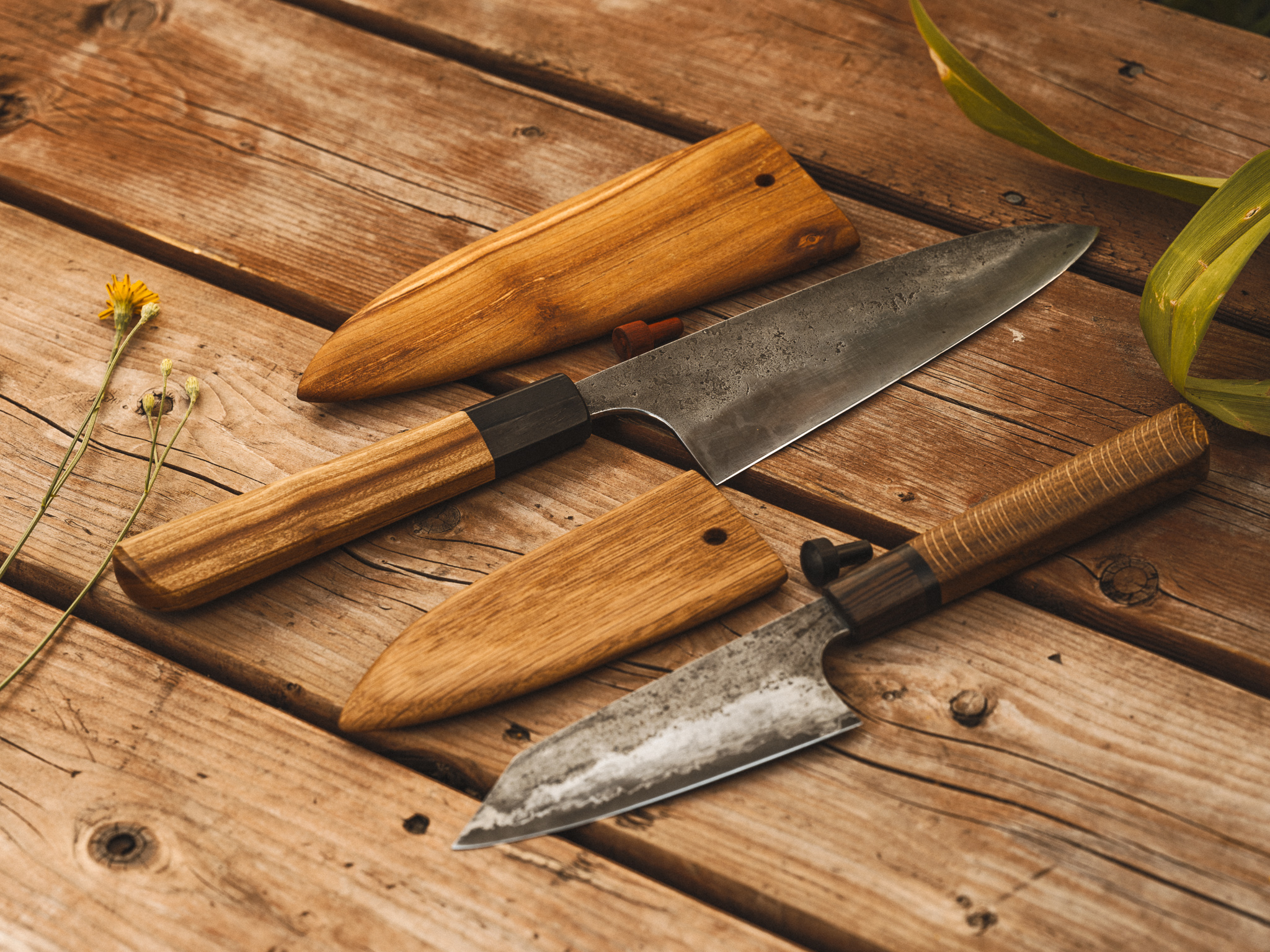 20220720-FFPG4637 1.jpg