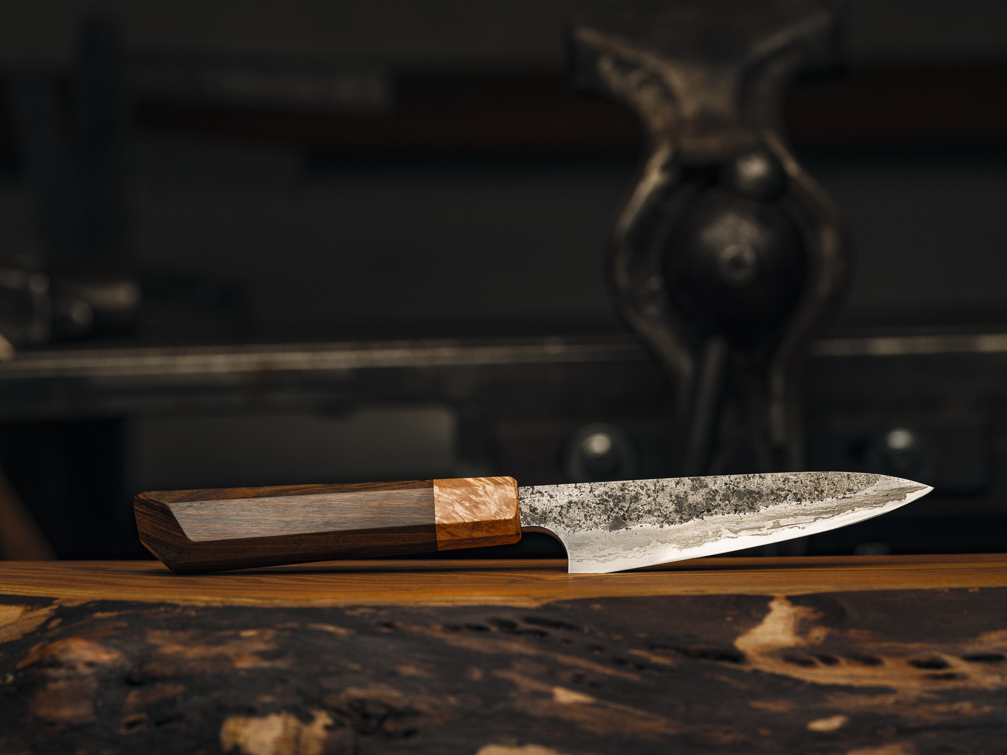 20230317-FFPG1323 1.jpg