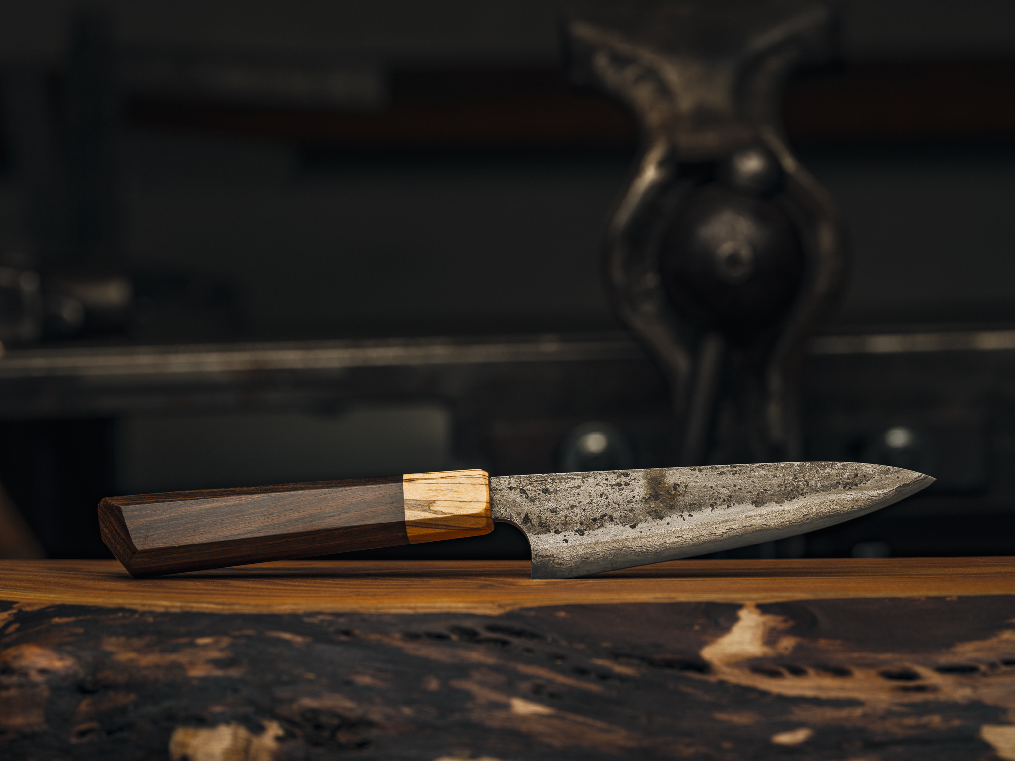 20230317-FFPG1335 1.jpg