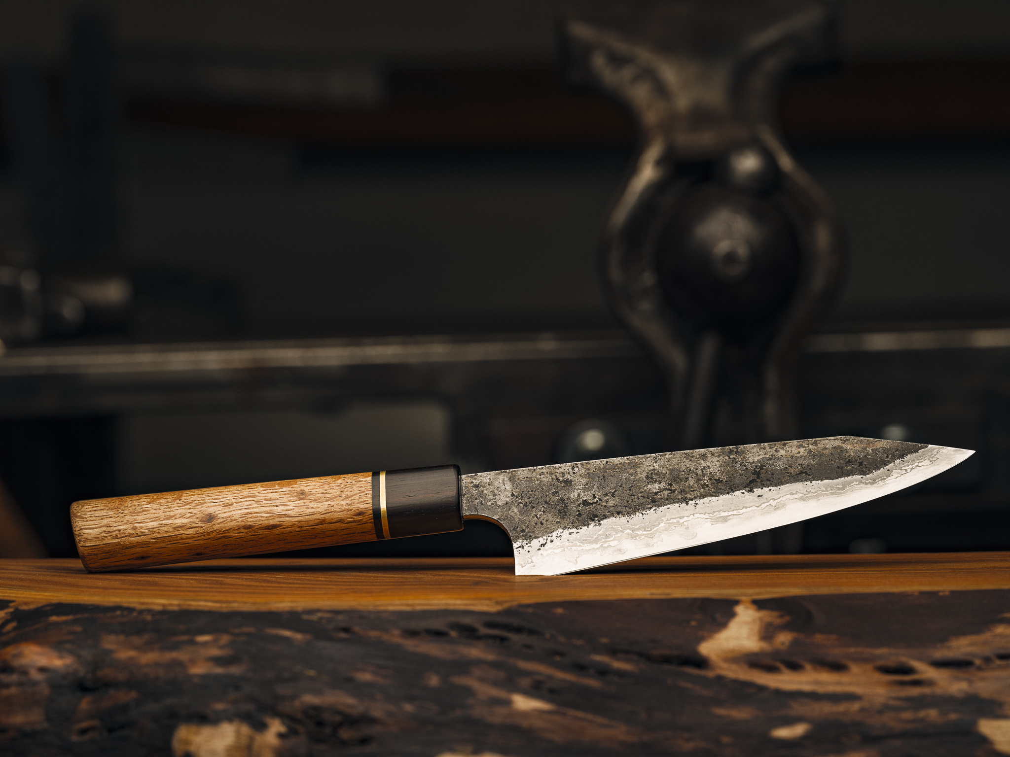 20230317-FFPG1343 1.jpg