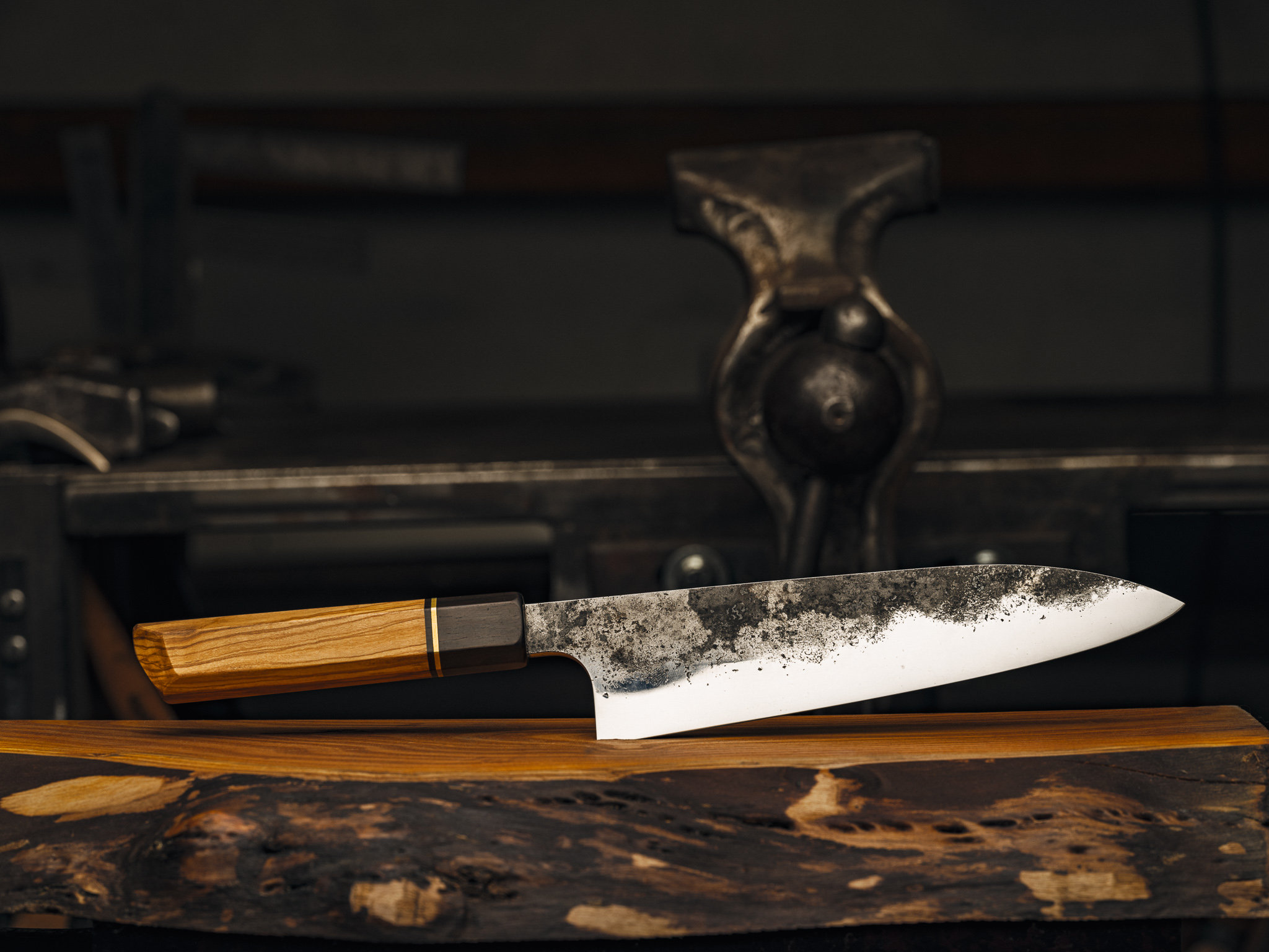 20230317-FFPG1351 1.jpg