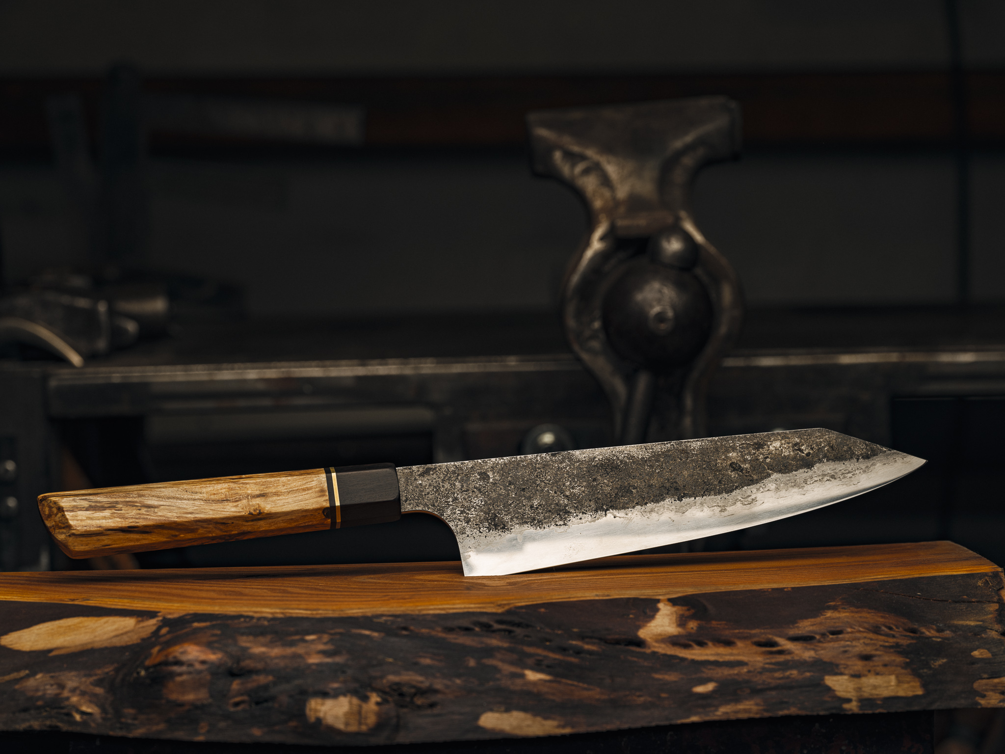 20230317-FFPG1370 1.jpg