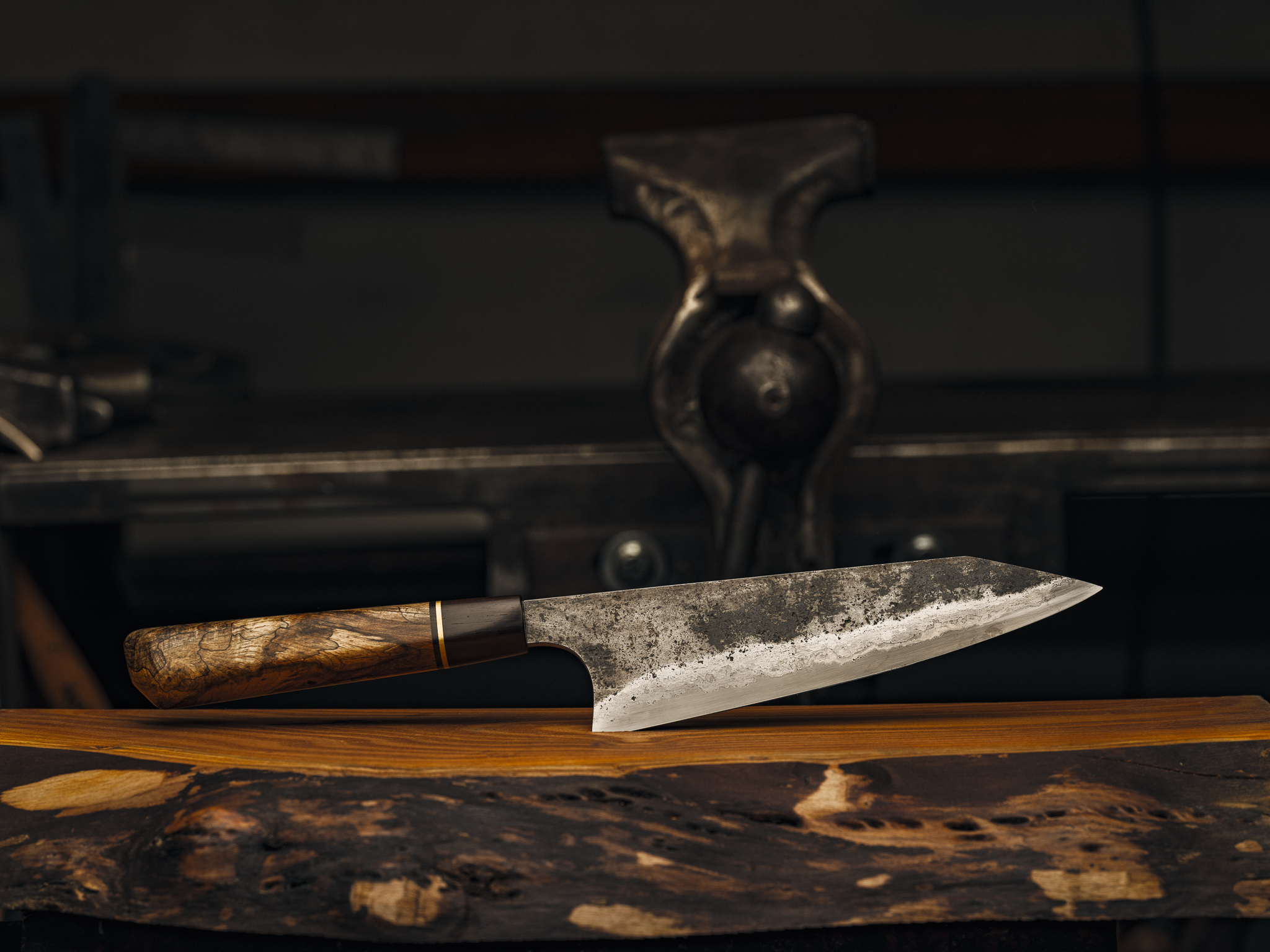 20230317-FFPG1384 1.jpg