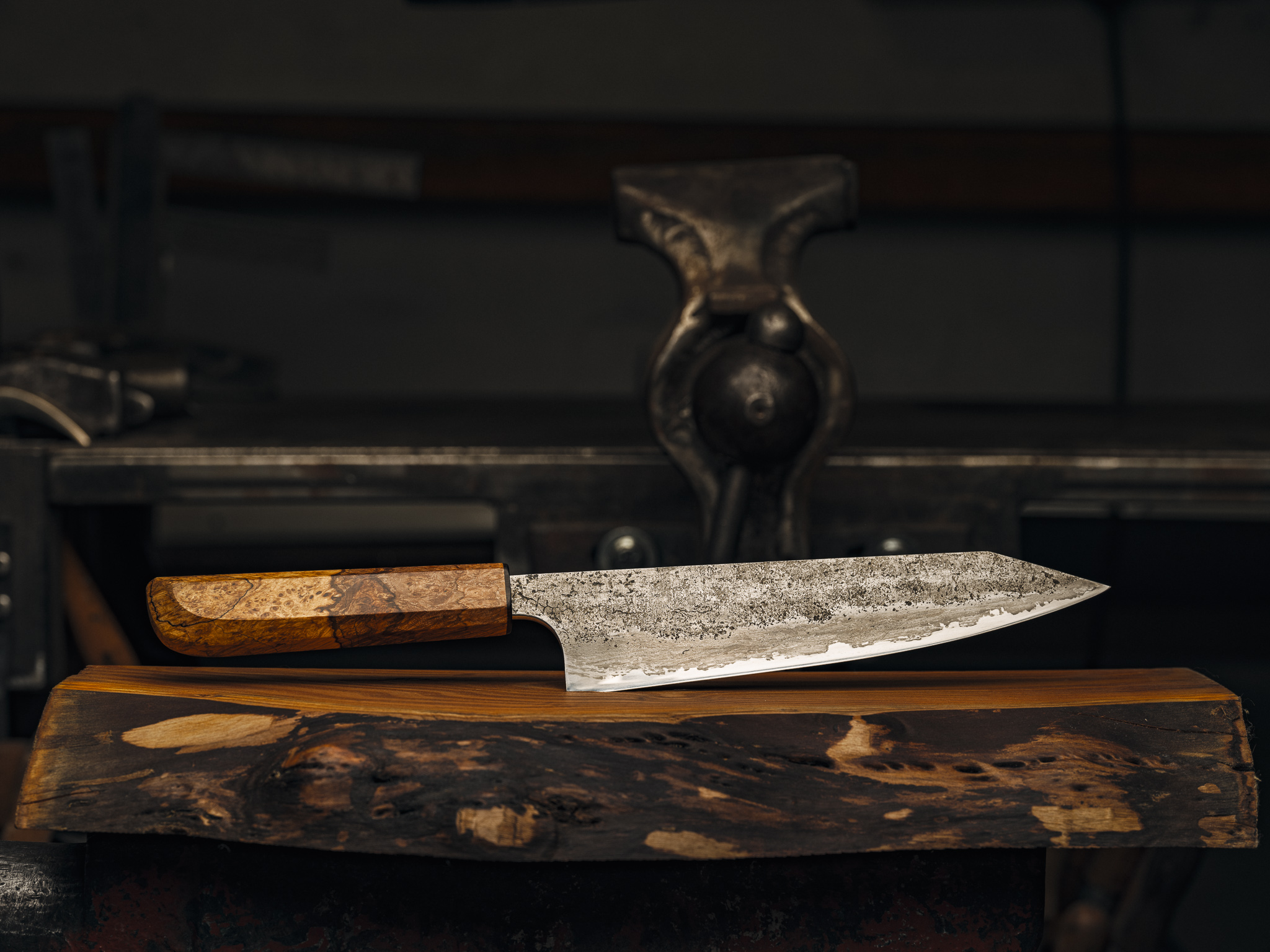 20230317-FFPG1404 1.jpg