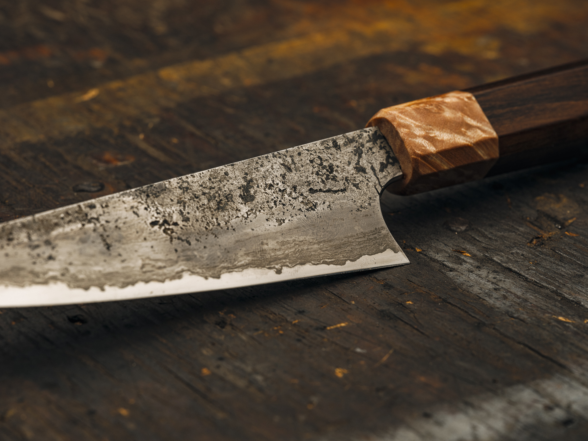 20230317-FFPG1435 1.jpg