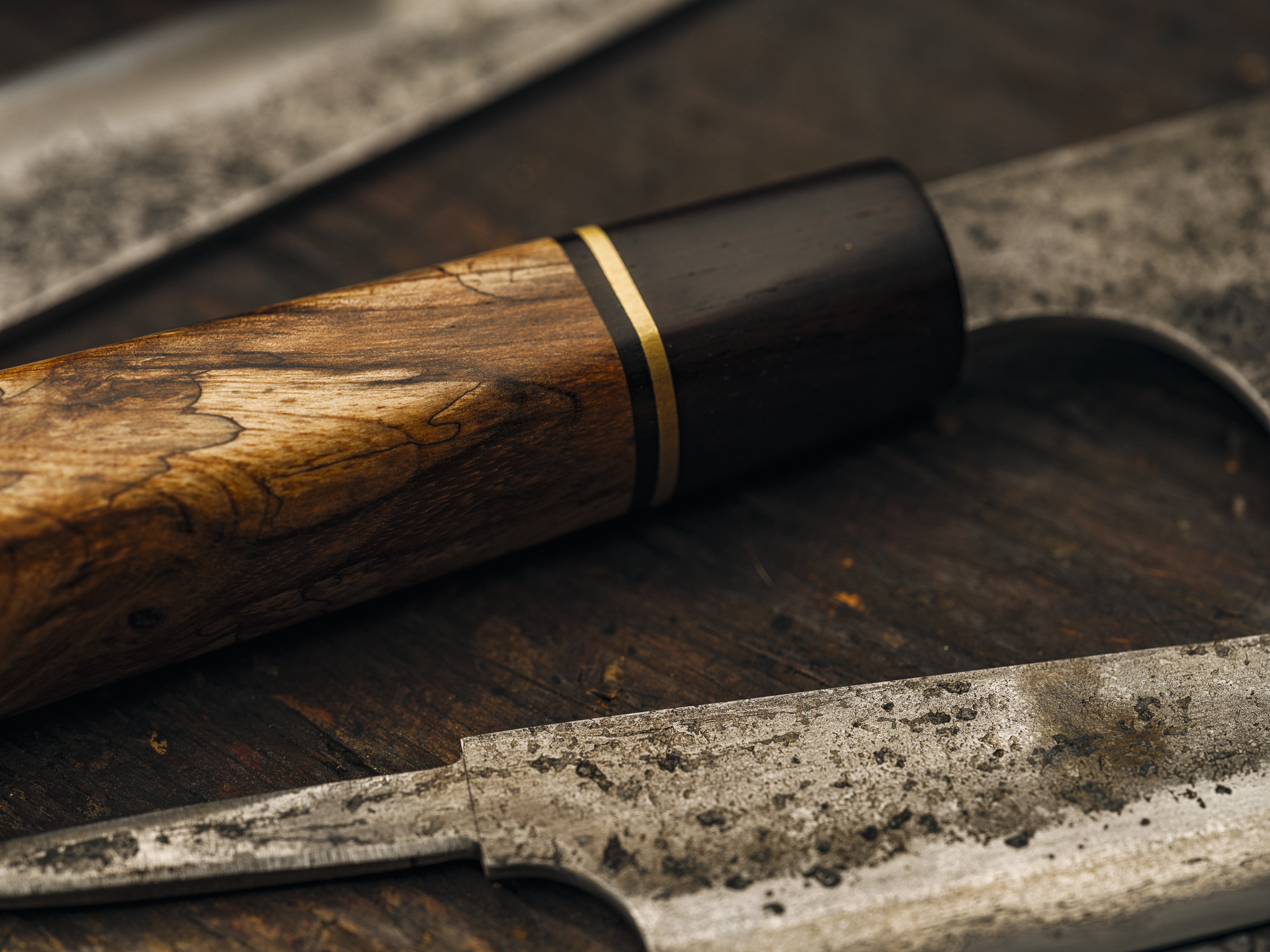 20230317-FFPG1460 1.jpg