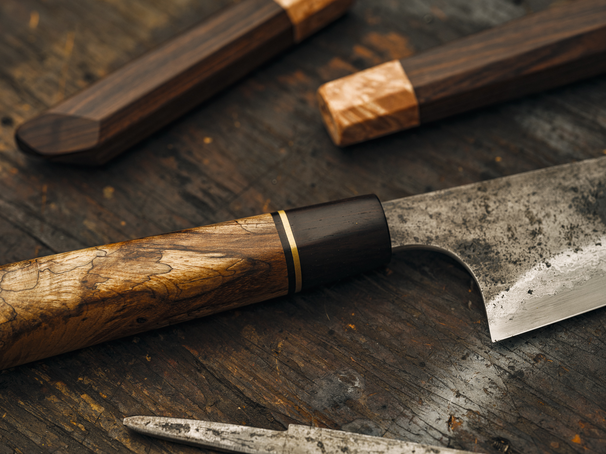 20230317-FFPG1463 1.jpg