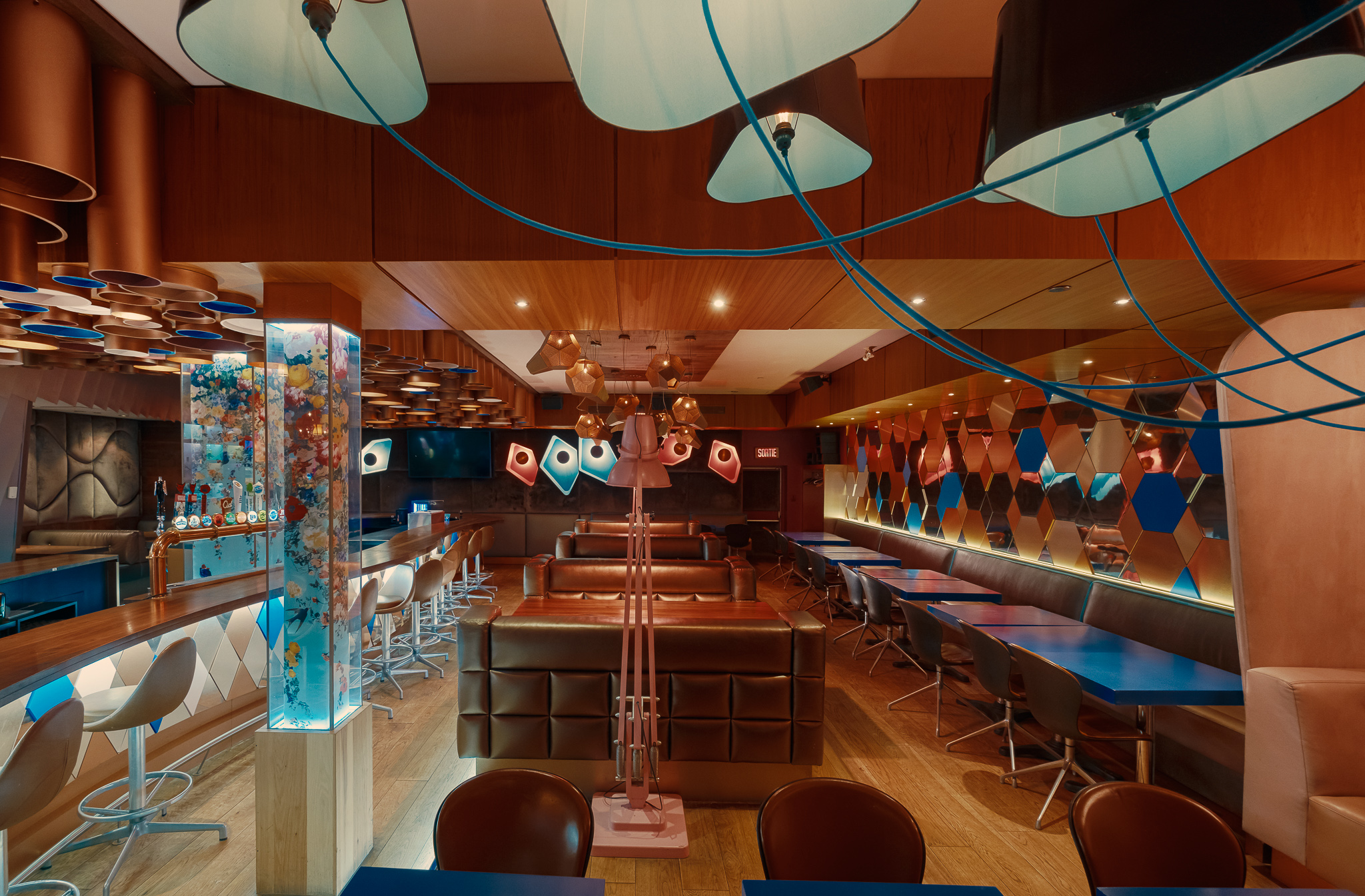 Cosmos_FFPX8405-Modifier 1.jpg