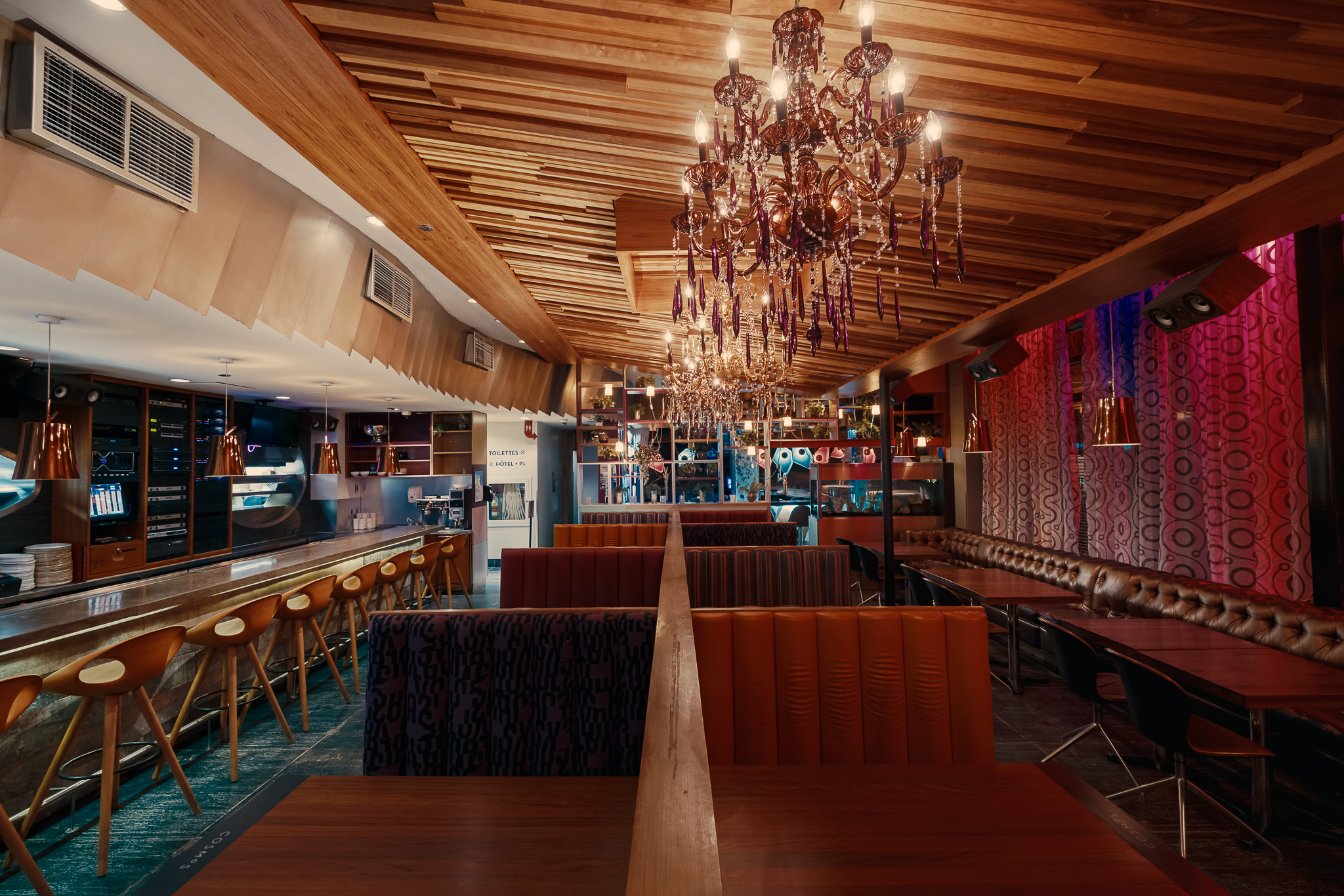 Cosmos_FFPX8482-Modifier 1.jpg