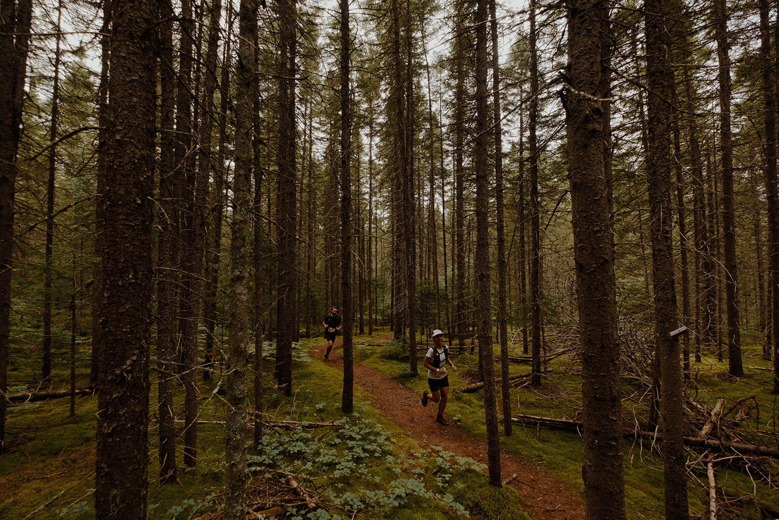 FFP-367-230715-MR-FFPX1015 1.jpg