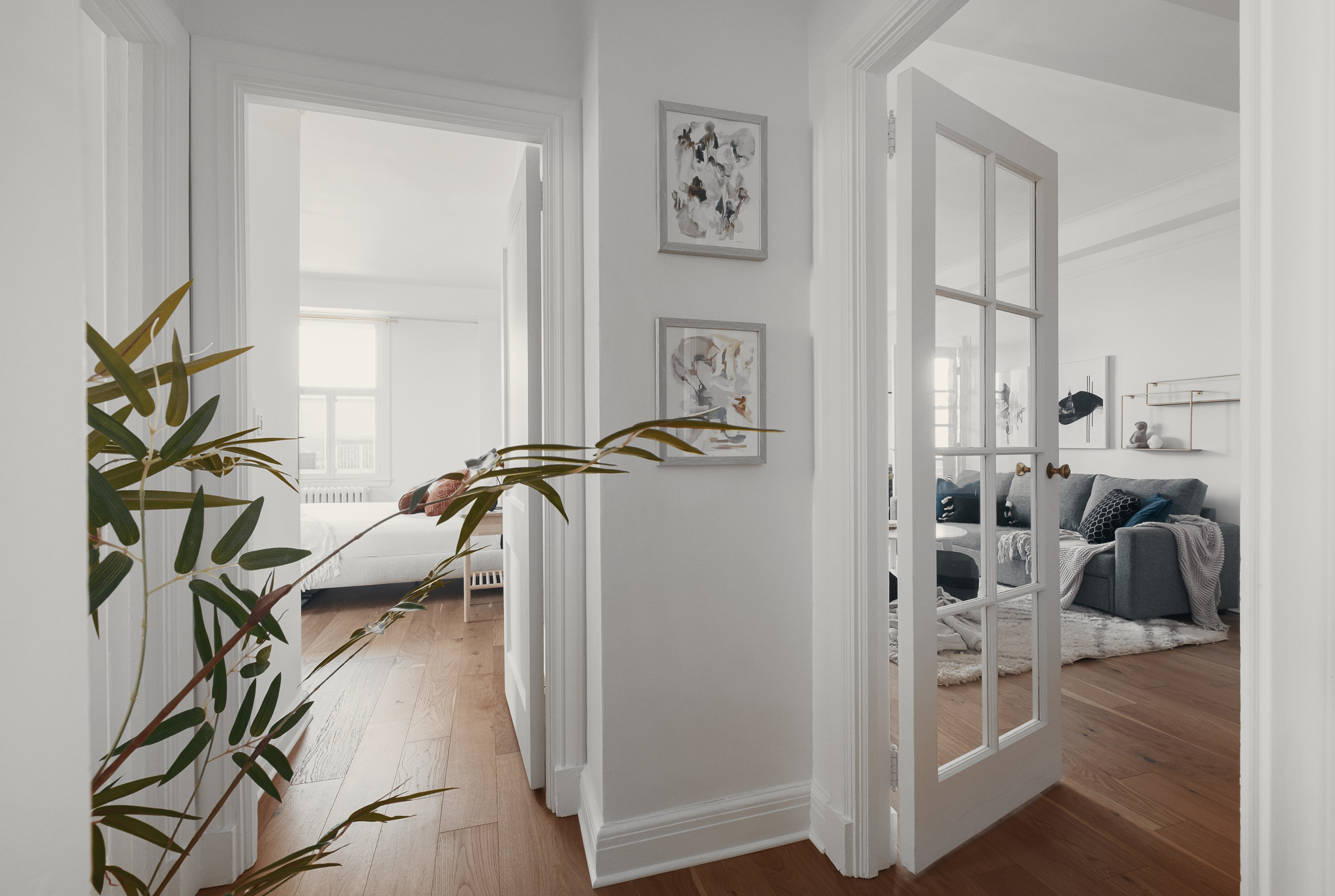 FFPX4279-Modifier 1.jpg