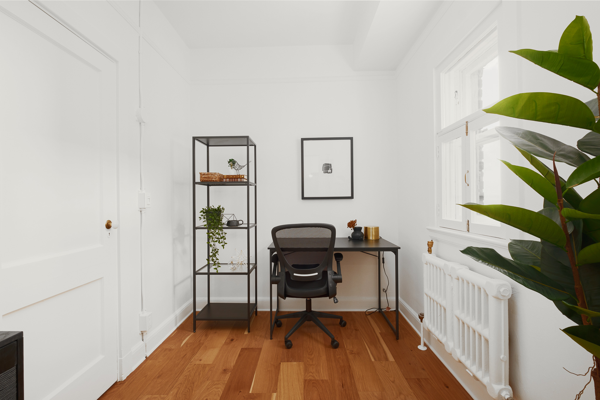 FFPX5609-Modifier 1.jpg