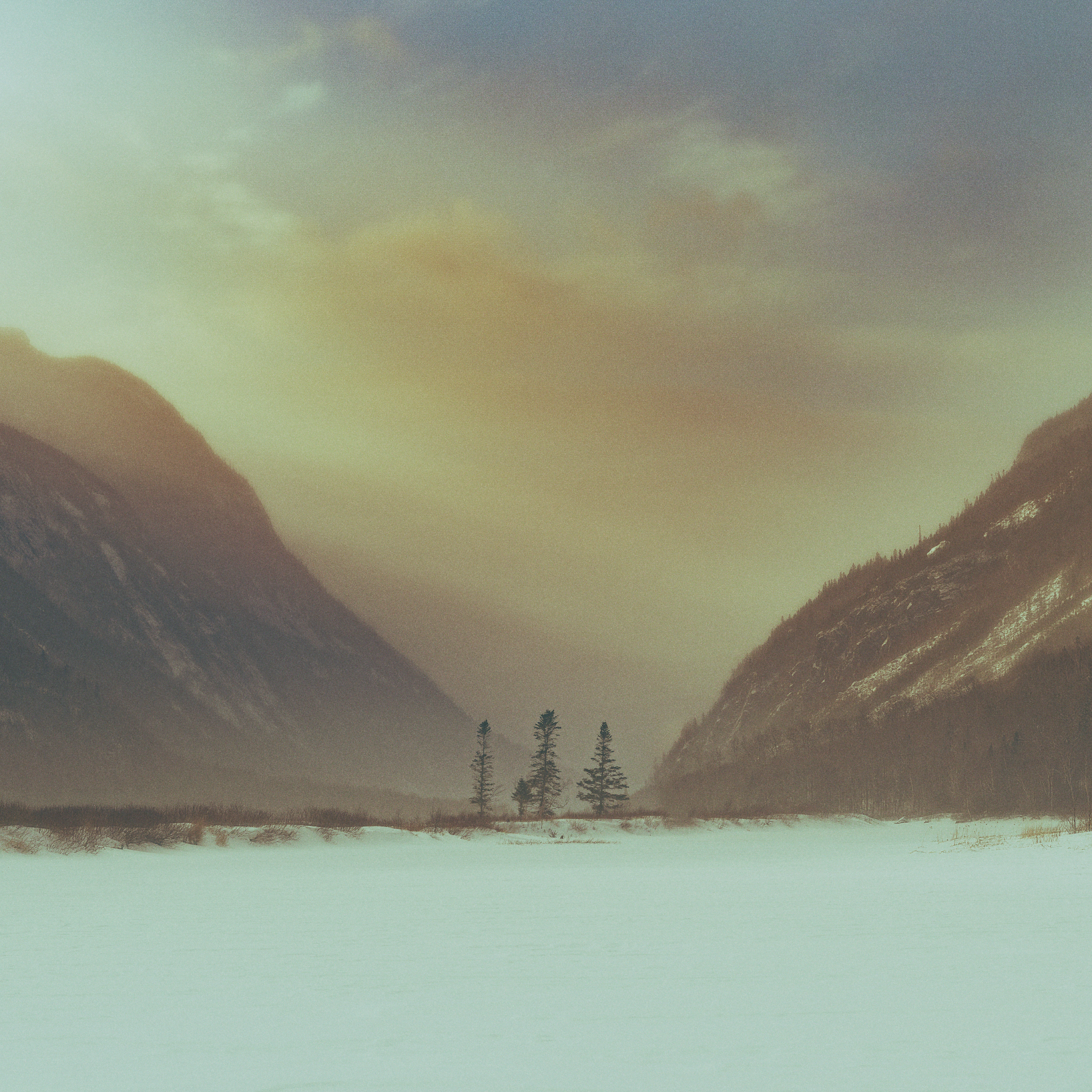 Nature_FFPG8462-Modifier_Full resolution_8736x8736_U_100_2048x2048_U_100_Flickr  500px 1.jpg