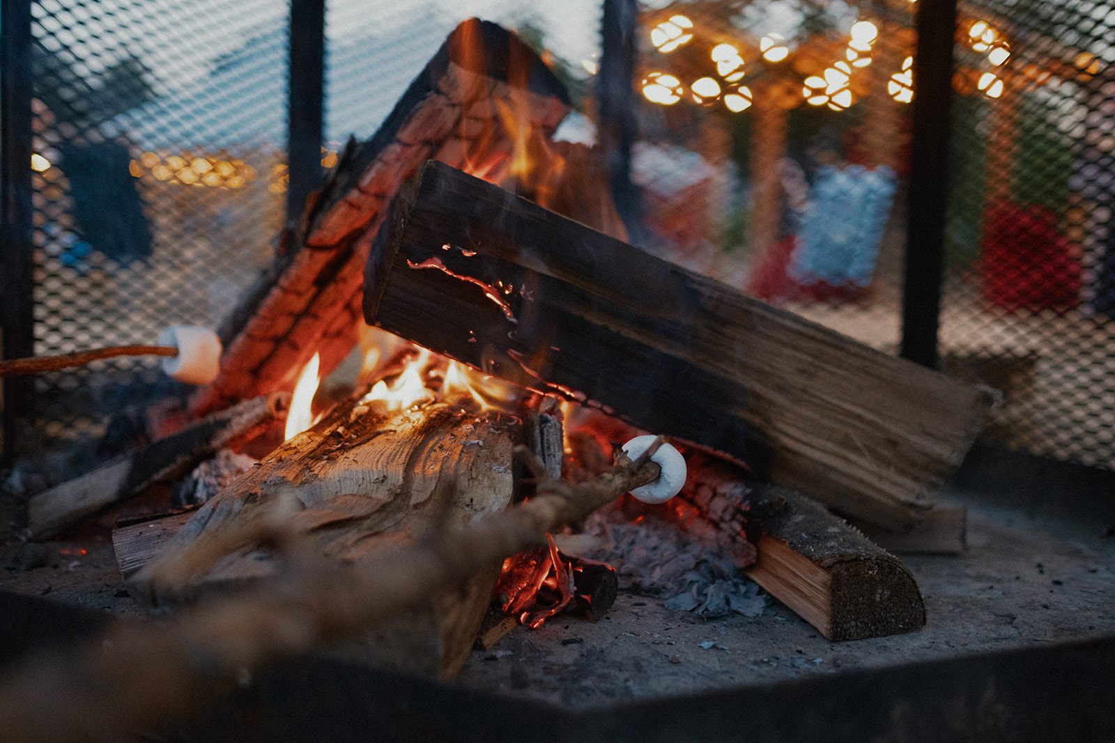 a48dafdf2fbb772c8149a912e5edad5e_MD5 1.jpg