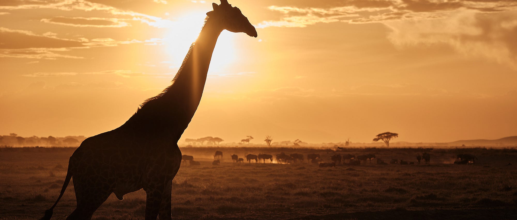 a846cc994f6a9e44ae03662be13dda80_MD5 1.jpg