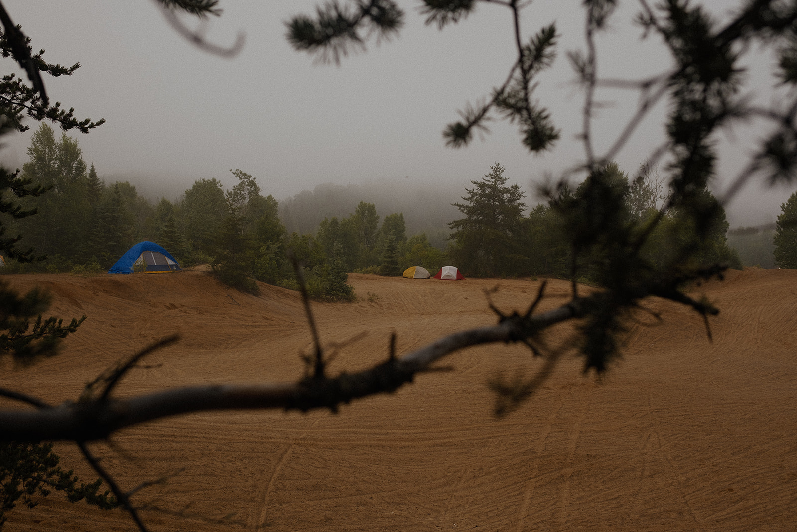 b95bbbe98d8e488a61ea41e52a3d56de_MD5 1.jpg