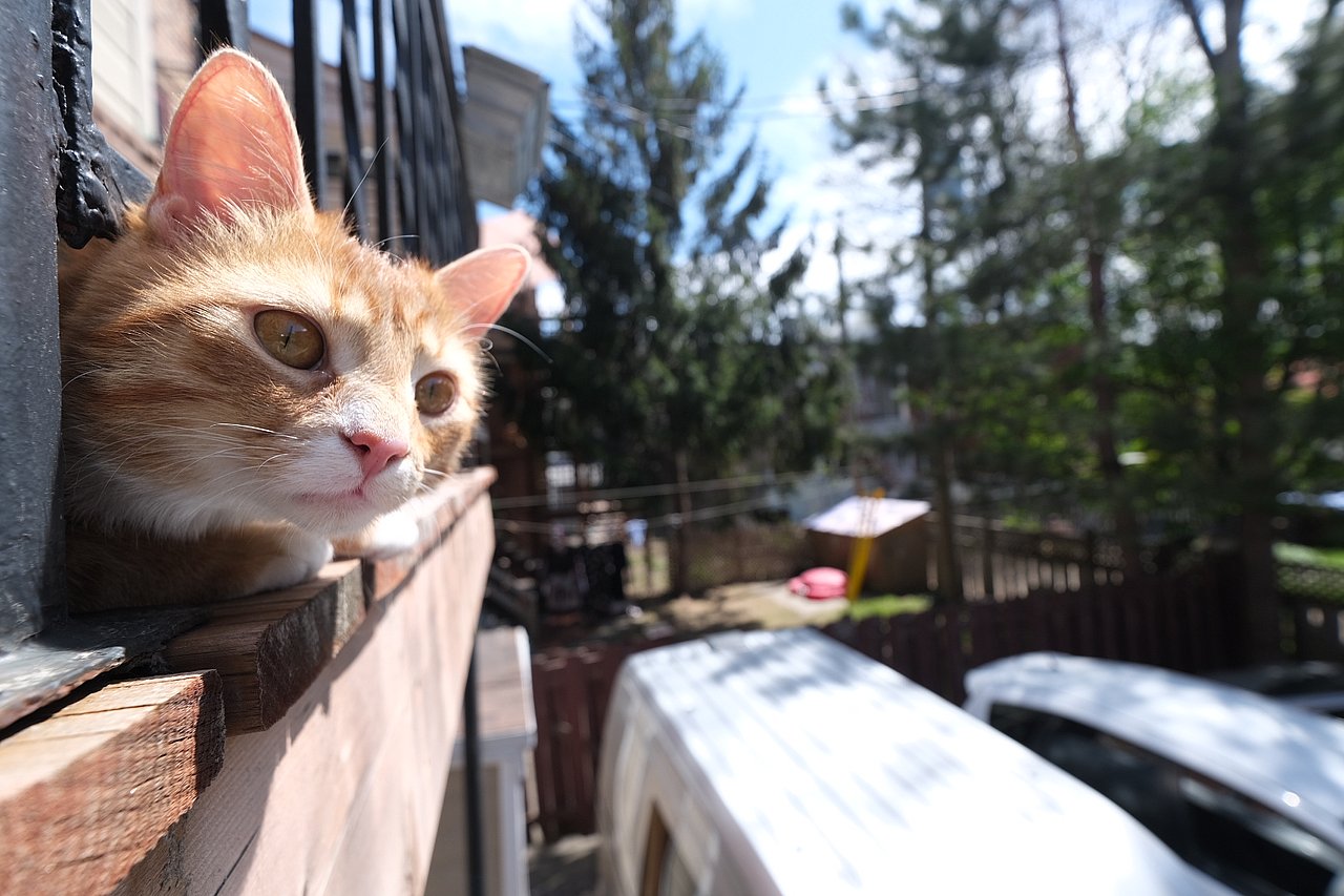 2020_0522_12524600(22)