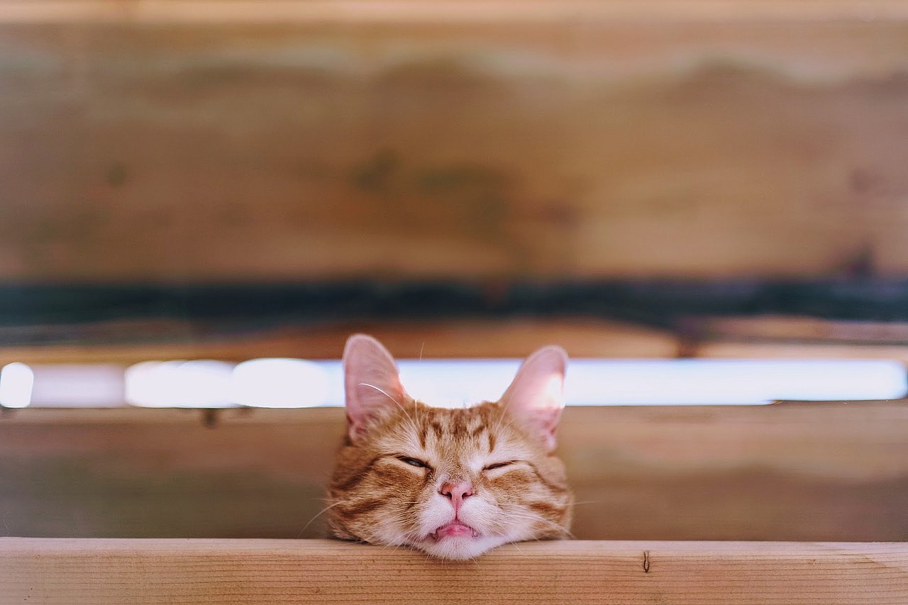 2020_0522_12524600(9)